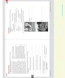 Miniatura página 118 de Inglés – Séptimo Básico | Student’s Book MINEDUC – Descargar PDF · 2024