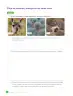 Miniatura página 92 de Libro de Ciencias Naturales – Quinto Básico | Texto del Estudiante MINEDUC – Descargar PDF · 2024