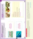 Miniatura página 165 de Ciencias Naturales – Primero Básico | Texto del Estudiante (MINEDUC) – Descargar PDF · 2024