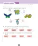 Miniatura página 177 de Ciencias Naturales – Segundo Básico | Texto del Estudiante MINEDUC – Descargar PDF · 2024