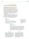 Miniatura página 50 de Colección Sk´asolil. Nuestro libro de Proyectos.  Tomo III.  Libro de Educación Telesecundaria Grado 2°  Ciclo Escolar 2025 - 2026