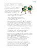 Miniatura página 100 de Múltiples lenguajes.   Libro de Educación Primaria Grado 1°  Ciclo Escolar 2025 - 2026