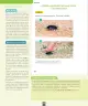 Miniatura página 87 de Ciencias Naturales – Primero Básico | Texto del Estudiante (MINEDUC) – Descargar PDF · 2024
