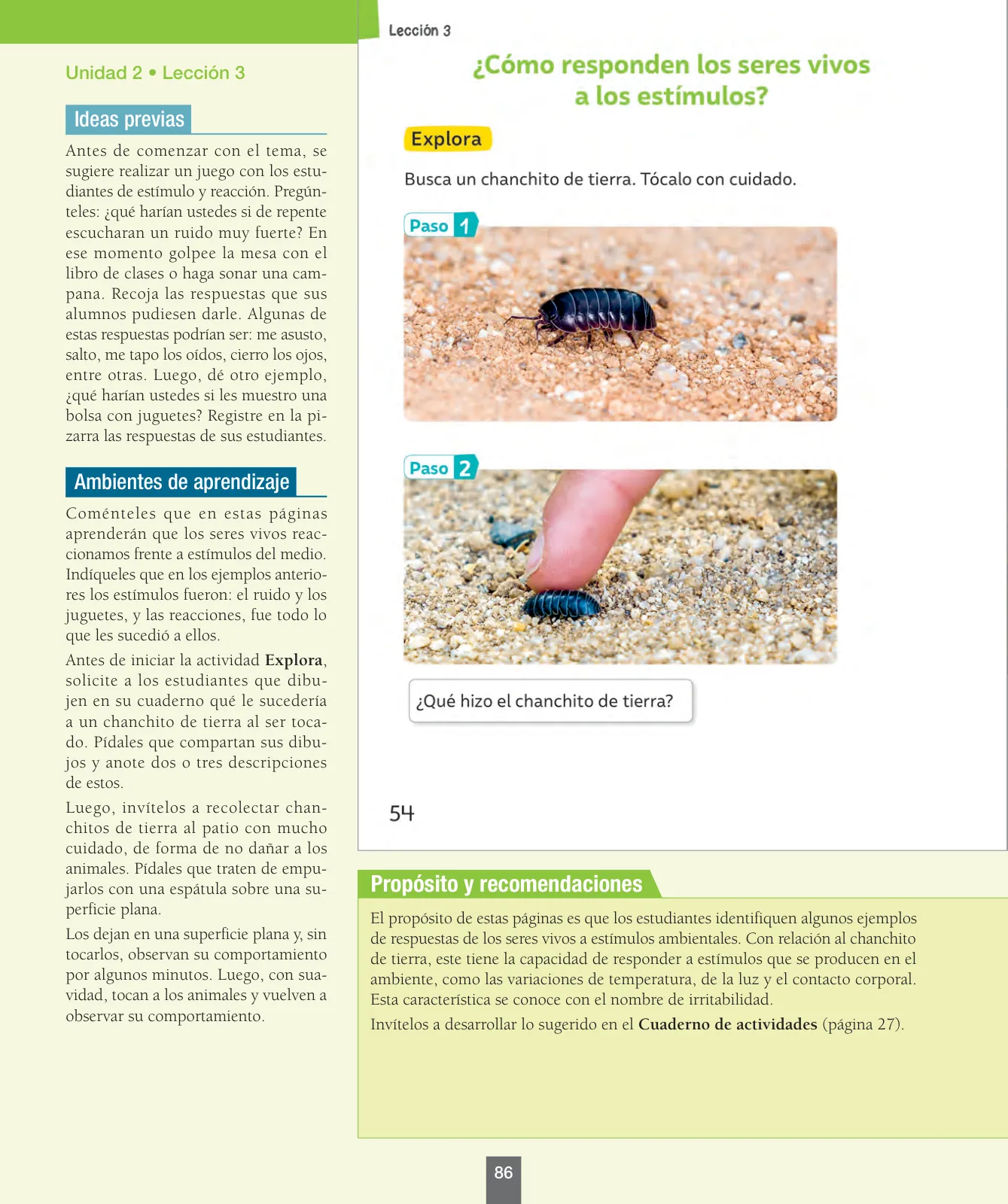 Miniatura página 87 de Ciencias Naturales – Primero Básico | Texto del Estudiante (MINEDUC) – Descargar PDF · 2024