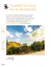 Miniatura página 147 de Proyectos Comunitarios.   Libro de Educación Primaria Grado 3°  Ciclo Escolar 2025 - 2026