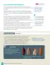 Miniatura página 16 de Historia, Geografía y Ciencias Sociales – Séptimo Básico | Texto del Estudiante MINEDUC – Descargar PDF · 2024