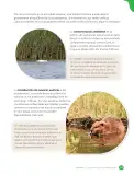 Miniatura página 101 de Libro de Ciencias Naturales – Quinto Básico | Texto del Estudiante MINEDUC – Descargar PDF · 2024