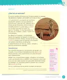 Miniatura página 201 de Lenguaje y Comunicación – Cuarto Básico | Texto del Estudiante MINEDUC – Descargar PDF · 2024