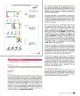 Miniatura página 21 de Sumo Primero – Quinto Básico | Texto del Estudiante MINEDUC – Descargar PDF · 2024