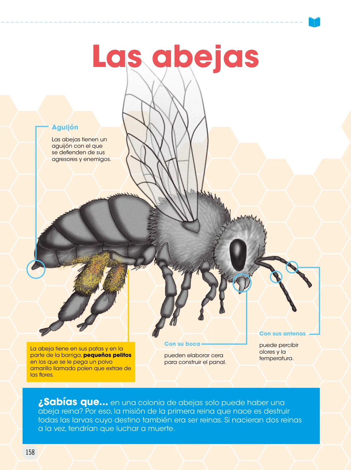 Miniatura página 159 de Comunicación 5 : cuaderno de trabajo para quinto grado de Educación Primaria 2019 · 2019