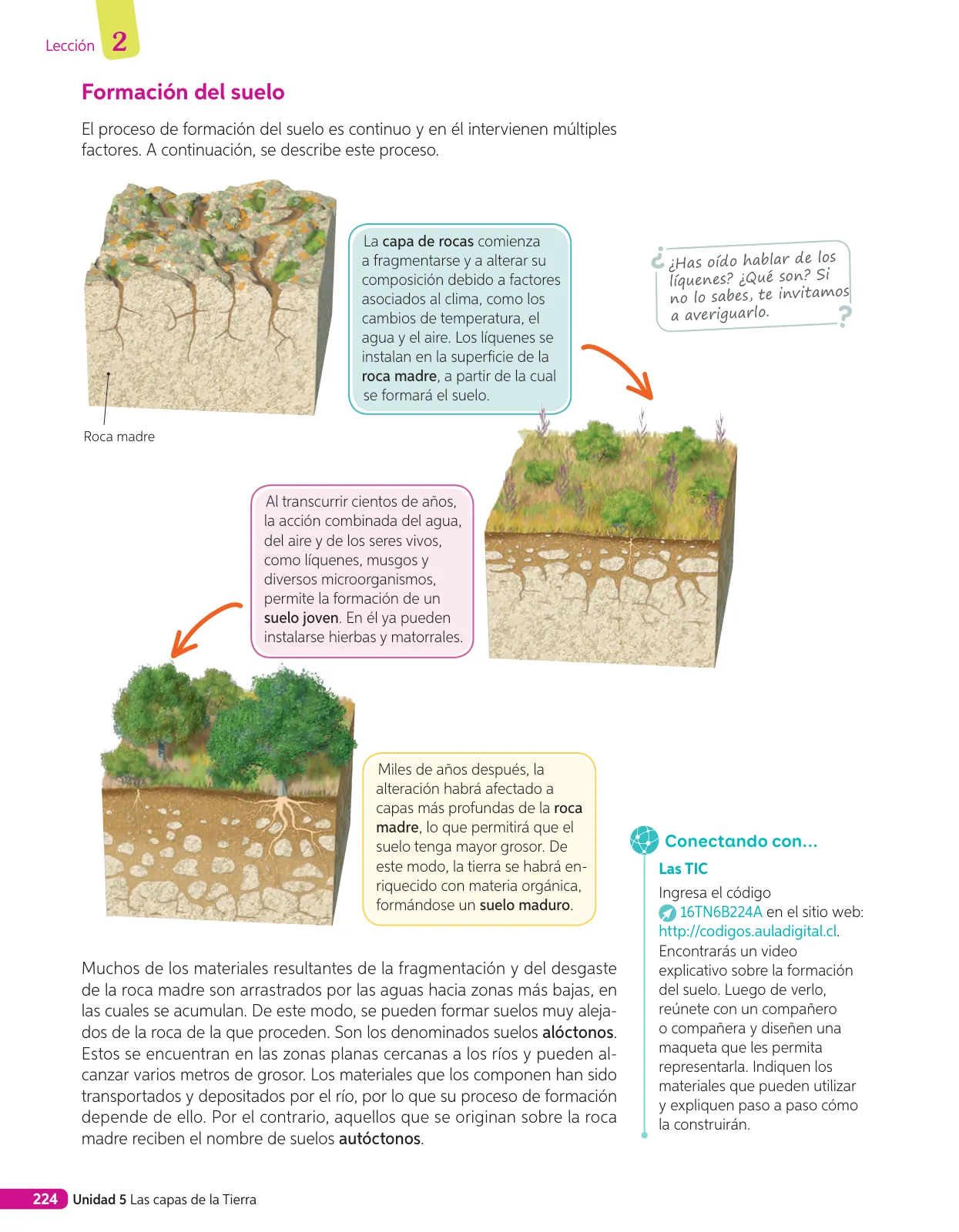 Página 175 de Libro de Ciencias Naturales – Quinto Básico | Texto del Estudiante MINEDUC – Descargar PDF · 2024