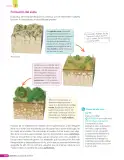 Miniatura página 175 de Libro de Ciencias Naturales – Quinto Básico | Texto del Estudiante MINEDUC – Descargar PDF · 2024