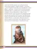 Miniatura página 100 de Willakuykuna maytu - Chanka Literatura 2 - 2° Secundaria - Quechua chanka · 2023