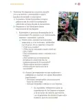 Miniatura página 260 de Proyectos Comunitarios.   Libro de Educación Primaria Grado 4°  Ciclo Escolar 2025 - 2026