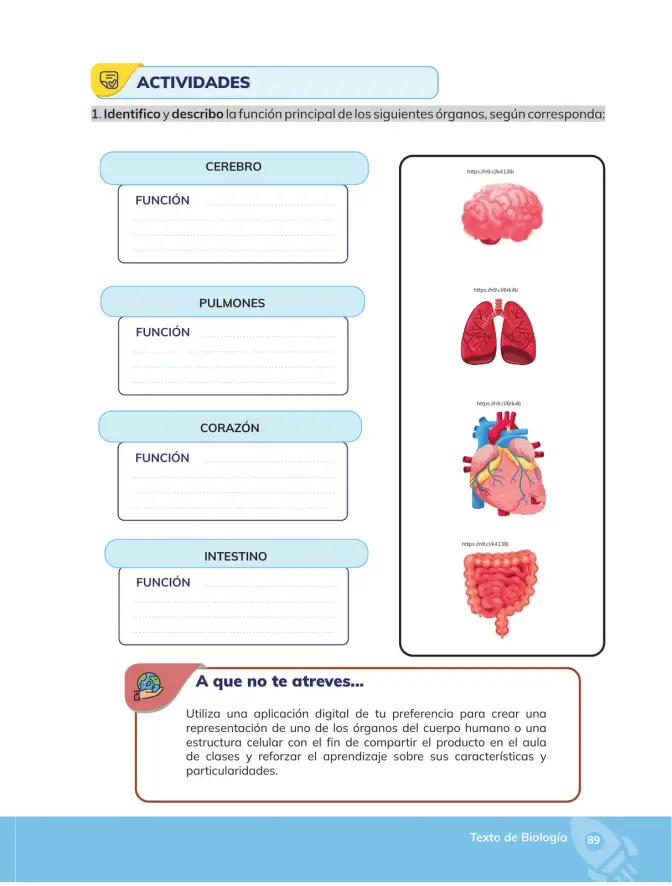 Página 90 de Biologia 2° · Bgu 2 Biologia 2024 · 2024