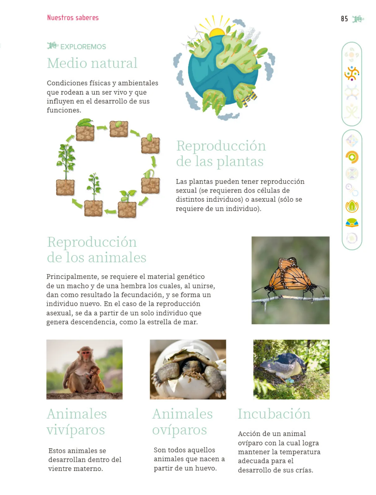 Página 86 de Nuestros saberes: Libro para alumnos, maestros y familia. Libro de Educación Primaria Grado 5° Ciclo Escolar 2025 - 2026