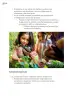 Miniatura página 195 de Proyectos Comunitarios.   Libro de Educación Primaria Grado 3°  Ciclo Escolar 2025 - 2026