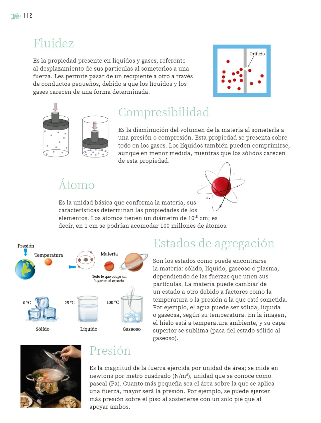 Página 113 de Nuestros saberes: Libro para alumnos, maestros y familia. Libro de Educación Primaria Grado 5° Ciclo Escolar 2025 - 2026
