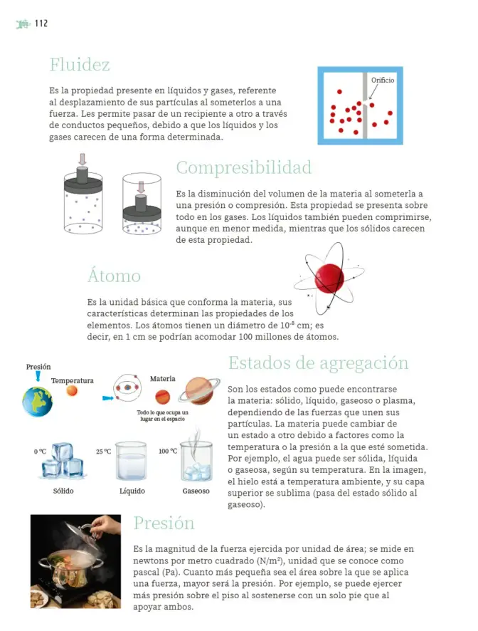 Página 113 de Nuestros saberes: Libro para alumnos, maestros y familia. Libro de Educación Primaria Grado 5° Ciclo Escolar 2025 - 2026
