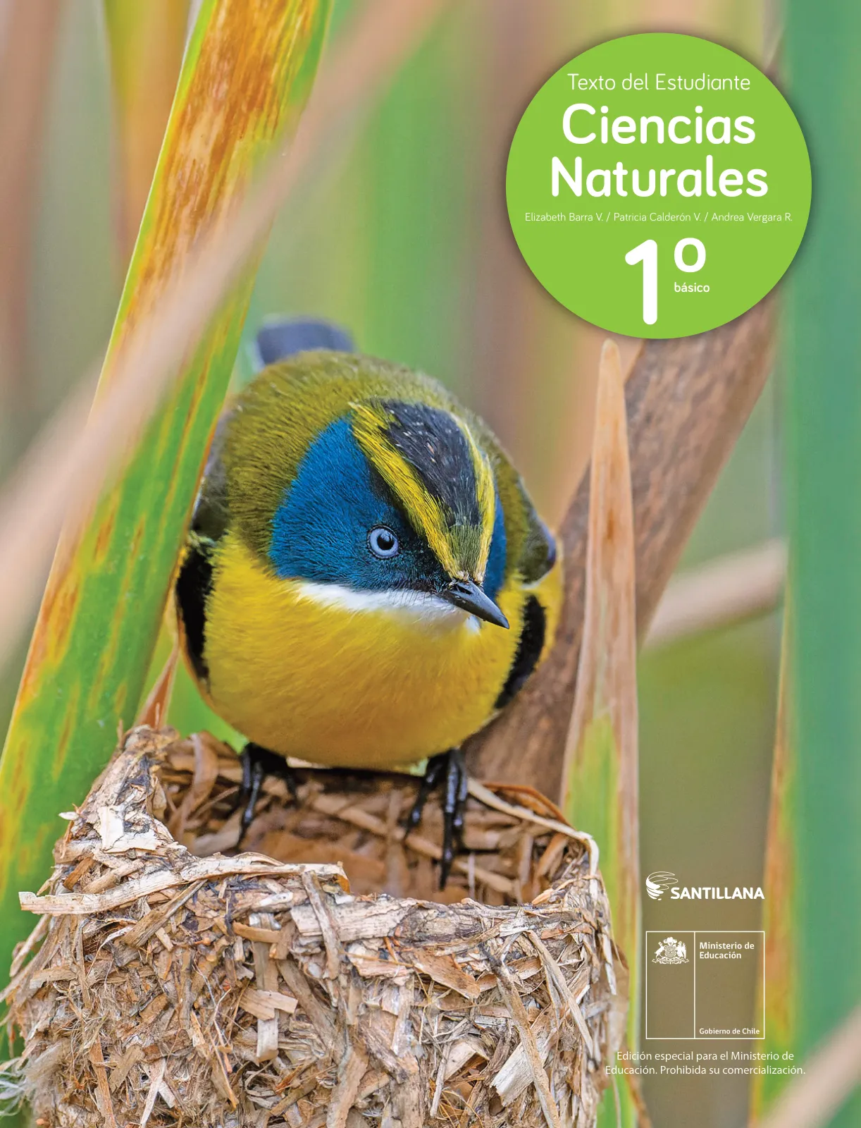 Miniatura página 1 de Ciencias Naturales – Primero Básico | Texto del Estudiante (MINEDUC) – Descargar PDF · 2024
