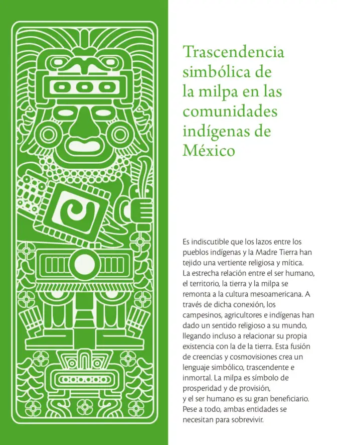 Página 146 de Colección Ximhai. Lenguajes. Libro de Educación Telesecundaria Grado 1° Ciclo Escolar 2025 - 2026