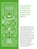 Miniatura página 146 de Colección Ximhai. Lenguajes.   Libro de Educación Telesecundaria Grado 1°  Ciclo Escolar 2025 - 2026