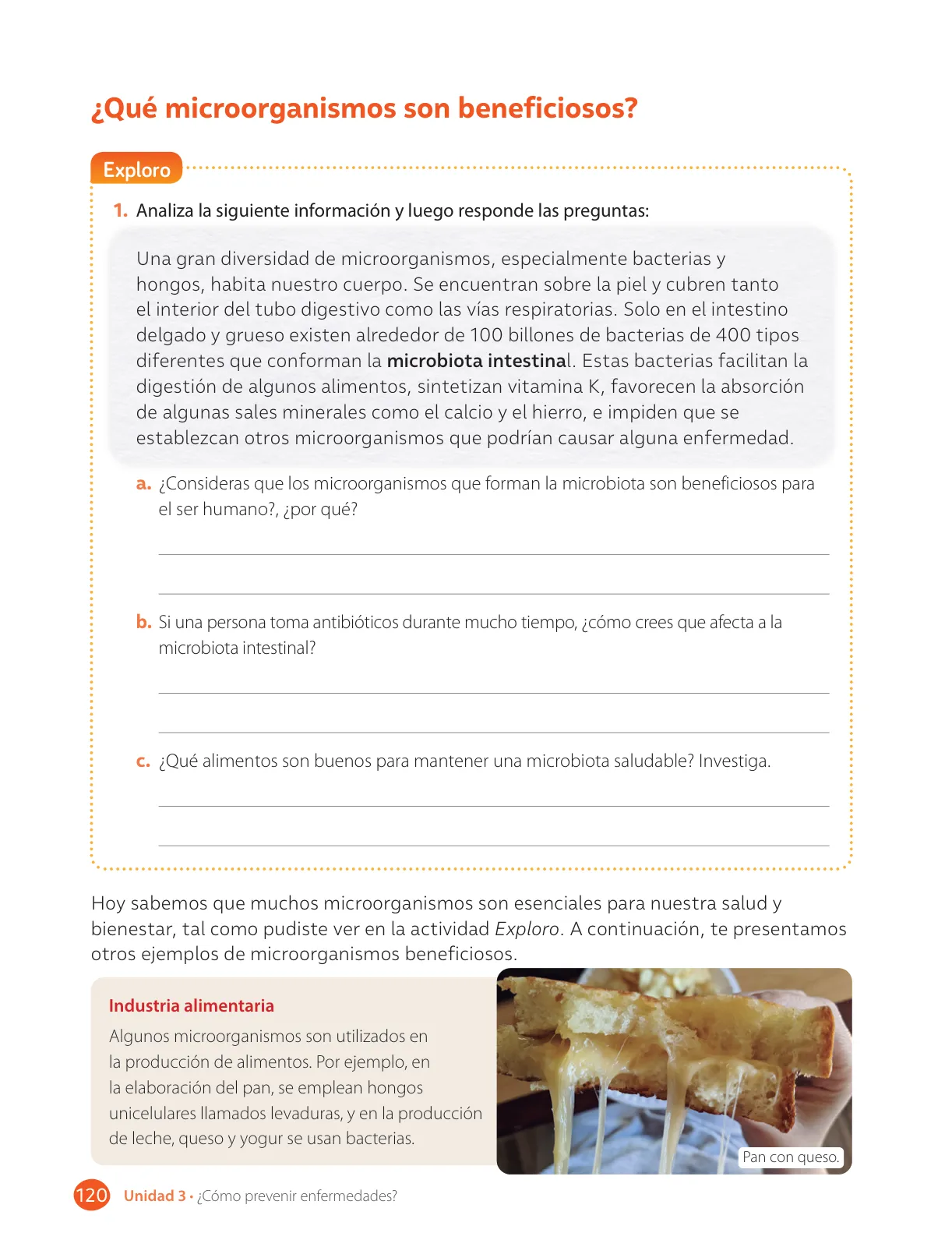 Miniatura página 122 de Libro de Ciencias Naturales – Quinto Básico | Texto del Estudiante MINEDUC – Descargar PDF · 2024