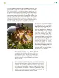 Miniatura página 96 de Colección Sk´asolil. Lenguajes.   Libro de Educación Telesecundaria Grado 2°  Ciclo Escolar 2025 - 2026