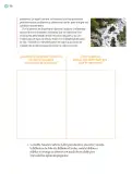 Miniatura página 181 de Proyectos Comunitarios.   Libro de Educación Primaria Grado 5°  Ciclo Escolar 2025 - 2026