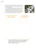 Miniatura página 181 de Proyectos Comunitarios.   Libro de Educación Primaria Grado 5°  Ciclo Escolar 2025 - 2026