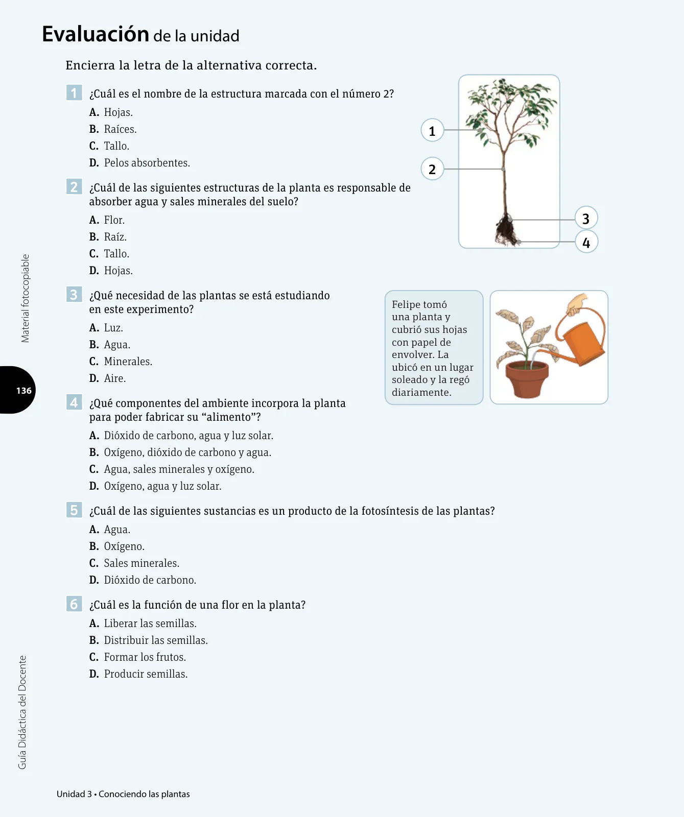 Página 37 de Ciencias Naturales – Tercero Básico | Texto del Estudiante MINEDUC – Descargar PDF · 2024