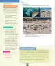 Miniatura página 99 de Inglés – Octavo Básico | Student’s Book MINEDUC – Descargar PDF · 2024