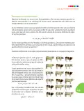 Miniatura página 256 de Matematica 8° · Postprimaria