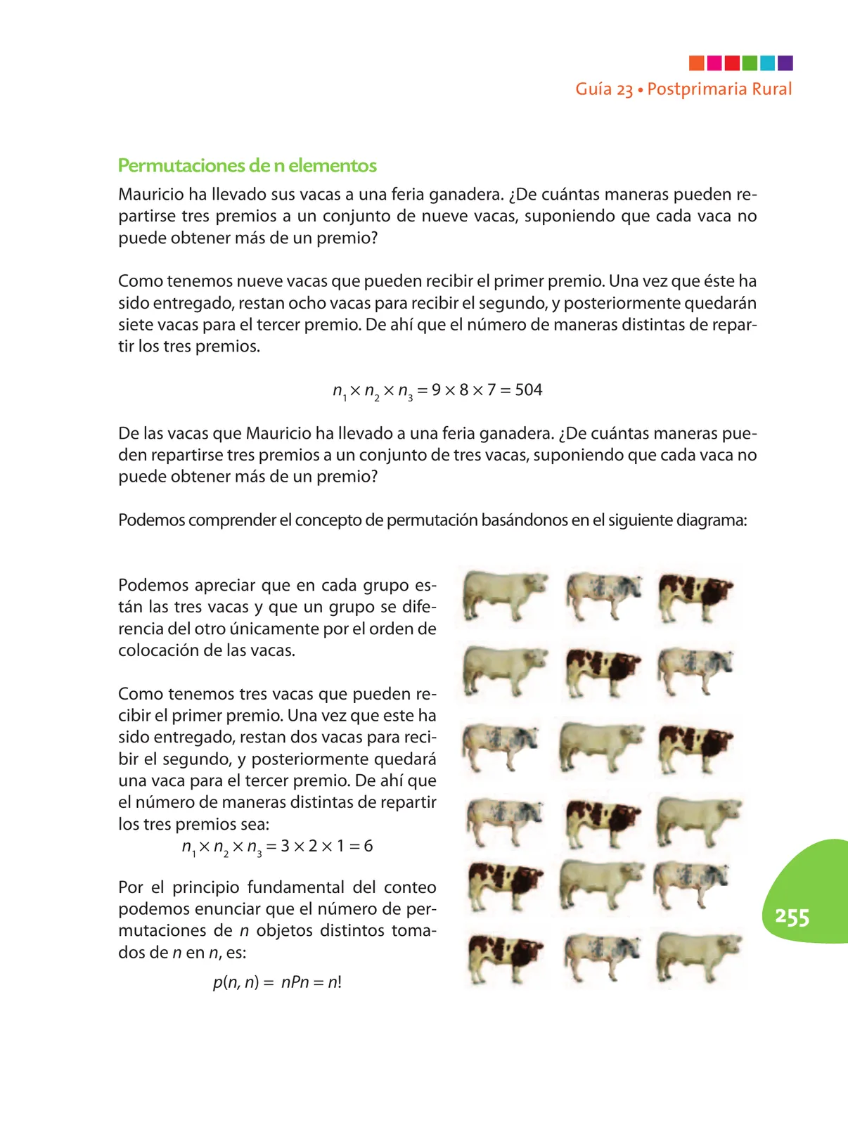 Pág 256