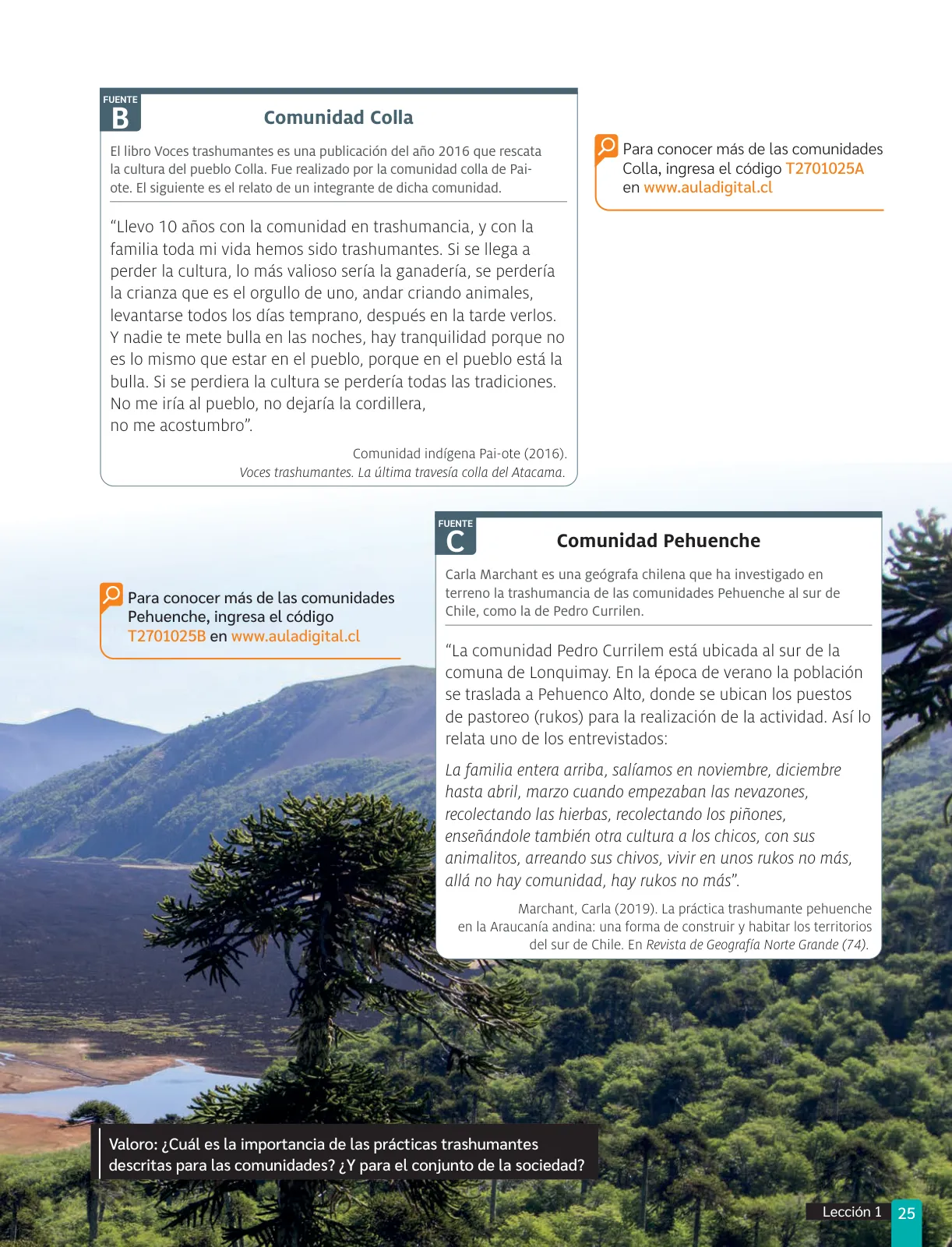 Página 27 de Historia, Geografía y Ciencias Sociales – Séptimo Básico | Texto del Estudiante MINEDUC – Descargar PDF · 2024