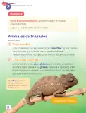 Miniatura página 34 de Lenguaje y Comunicación – Segundo Básico – Texto del Estudiante MINEDUC – Descargar PDF · 2024