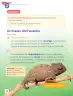 Miniatura página 34 de Lenguaje y Comunicación – Segundo Básico – Texto del Estudiante MINEDUC – Descargar PDF · 2024