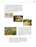 Miniatura página 38 de Colección Nanahuatzin. De lo humano y lo comunitario.   Libro de Educación Secundaria Grado 3°  Ciclo Escolar 2025 - 2026