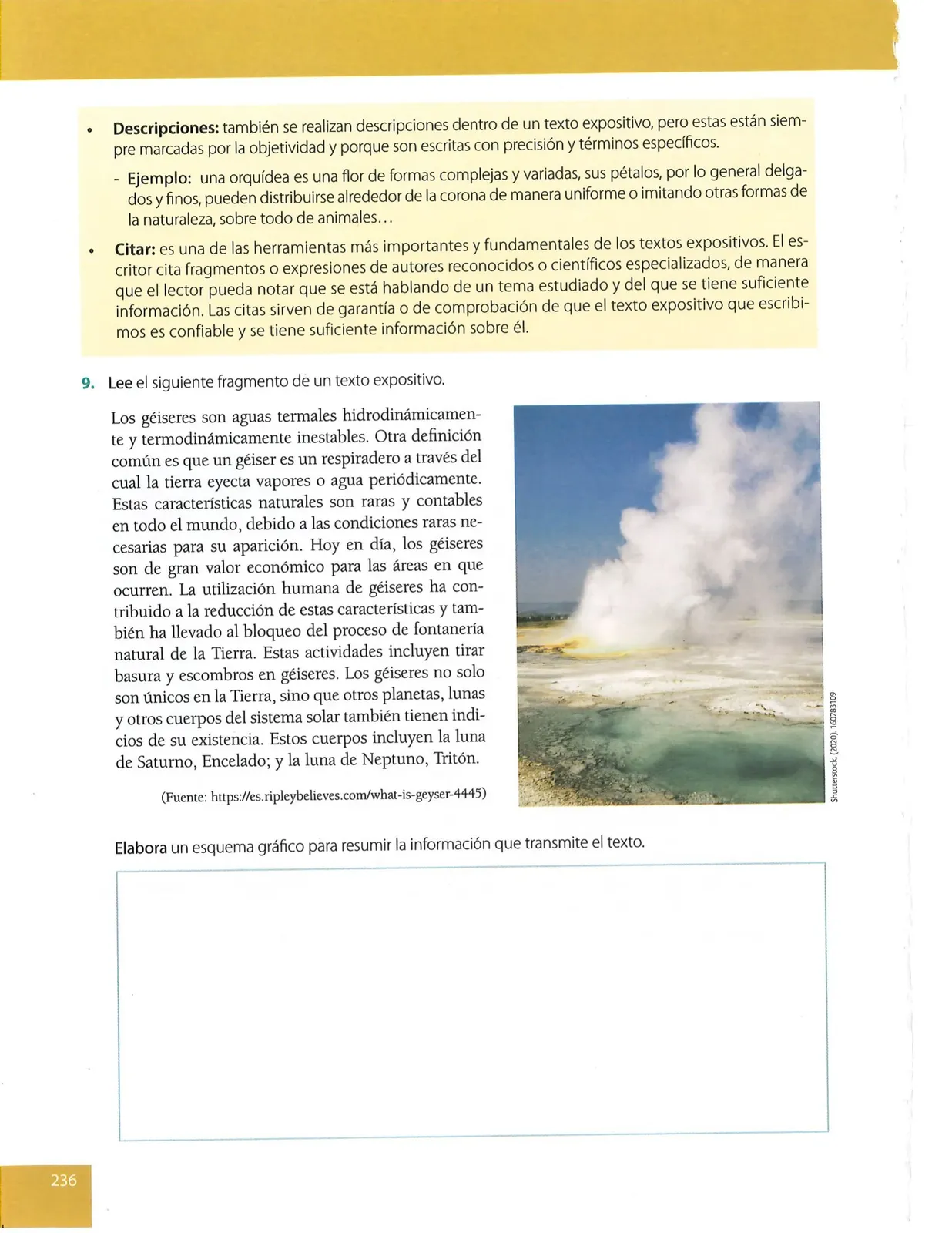 Página 236 de Lengua Y Literatura · 8 EGB · 2025