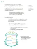 Miniatura página 281 de Proyectos de Aula.   Libro de Educación Primaria Grado 6°  Ciclo Escolar 2025 - 2026