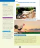 Miniatura página 85 de Ciencias Naturales – Primero Básico | Texto del Estudiante (MINEDUC) – Descargar PDF · 2024