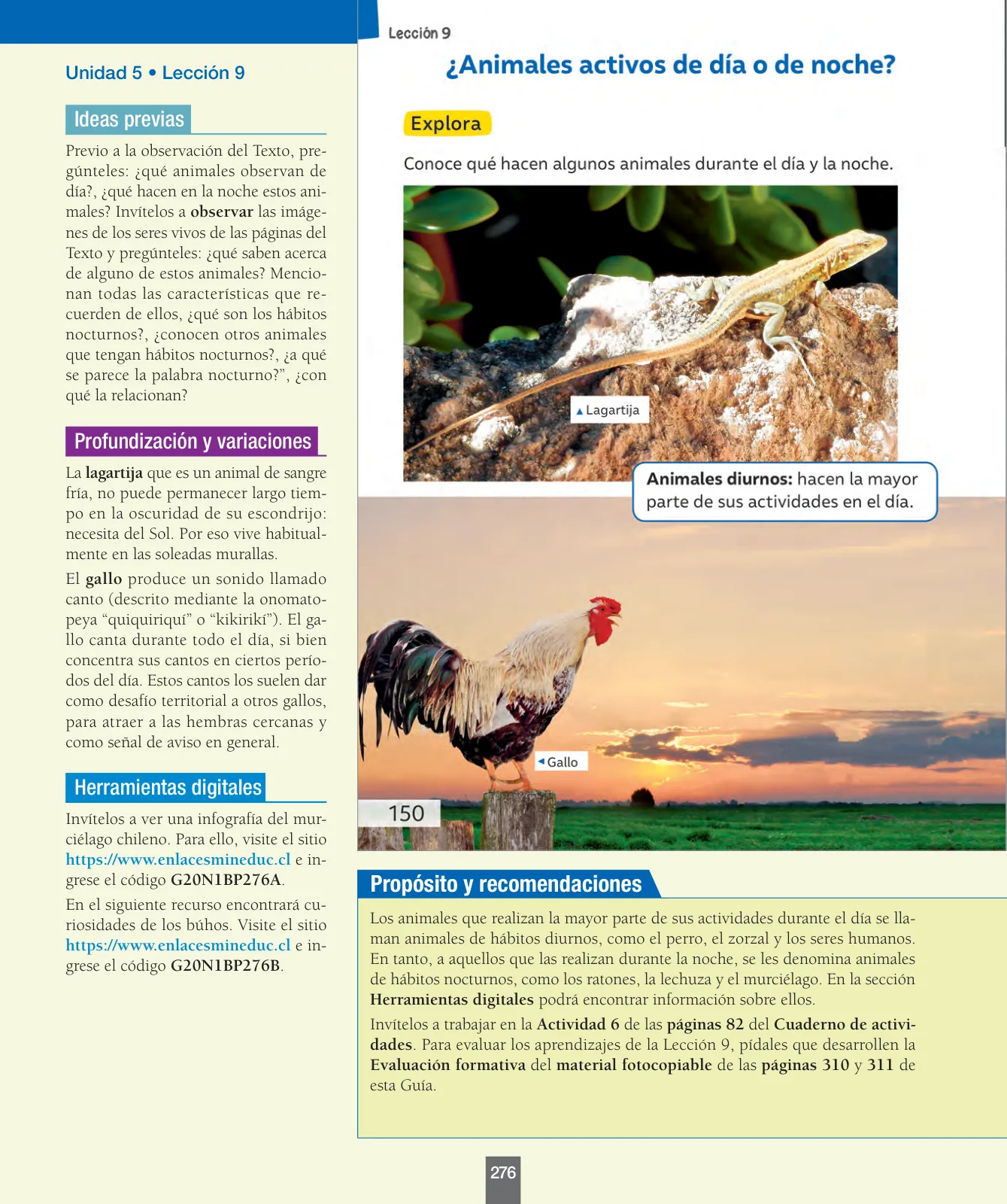 Miniatura página 85 de Ciencias Naturales – Primero Básico | Texto del Estudiante (MINEDUC) – Descargar PDF · 2024