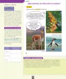 Miniatura página 141 de Ciencias Naturales – Segundo Básico | Texto del Estudiante MINEDUC – Descargar PDF · 2024