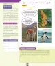 Miniatura página 141 de Ciencias Naturales – Segundo Básico | Texto del Estudiante MINEDUC – Descargar PDF · 2024