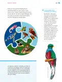 Miniatura página 164 de Nuestros saberes: Libro para alumnos, maestros y familia.   Libro de Educación Primaria Grado 1°  Ciclo Escolar 2025 - 2026
