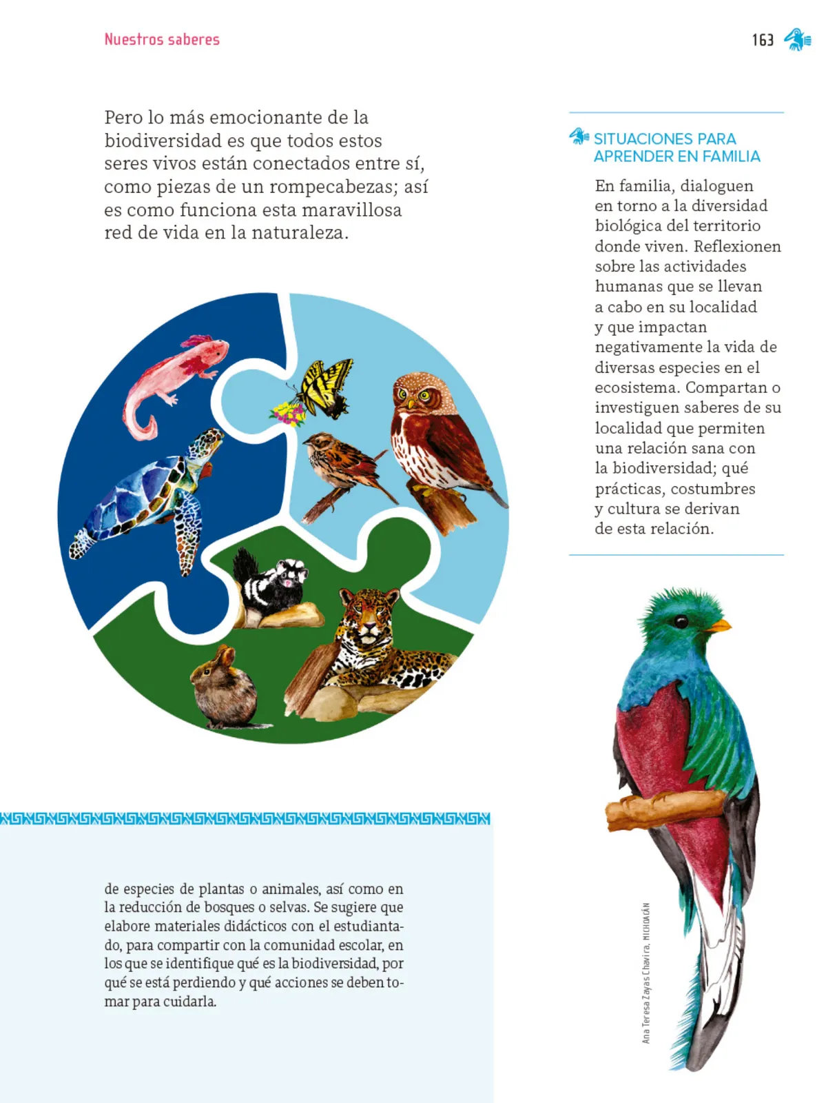 Miniatura página 164 de Nuestros saberes: Libro para alumnos, maestros y familia.   Libro de Educación Primaria Grado 1°  Ciclo Escolar 2025 - 2026