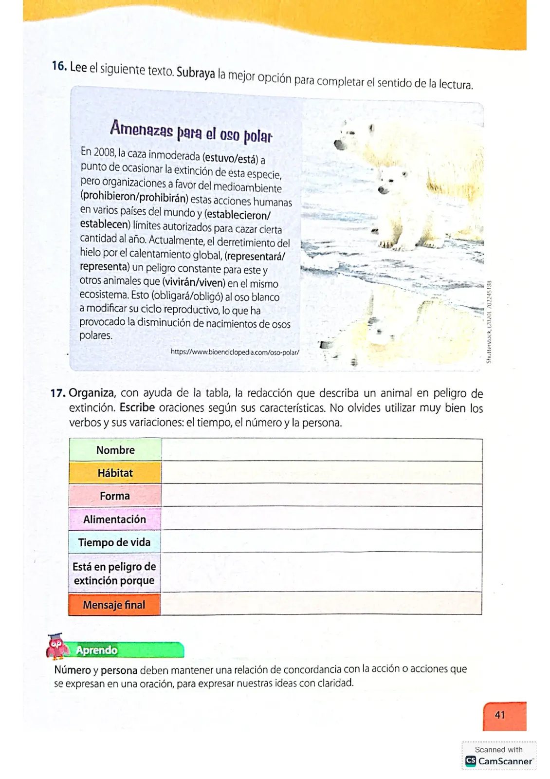 Pág 41