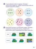 Miniatura página 101 de Ñawichana Maytu 1 Quechua - Chanka. Texto de Comunicación del 1° Primaria - Quechua Chanka · 2023