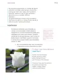 Miniatura página 82 de Proyectos Escolares.   Libro de Educación Primaria Grado 4°  Ciclo Escolar 2025 - 2026