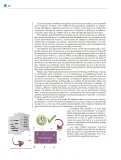 Miniatura página 289 de Colección Nanahuatzin. Nuestro libro de Proyectos. Tomo I.   Libro de Educación Telesecundaria Grado 3°  Ciclo Escolar 2025 - 2026
